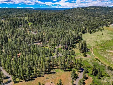 Gorgeous Valley and Mountain views with mature pine trees on Meadowcreek Golf Resort in Idaho - for sale on GolfHomes.com, golf home, golf lot