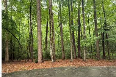 Build your dream home in the prestigious Carolina Trace on Carolina Trace Country Club in North Carolina - for sale on GolfHomes.com, golf home, golf lot