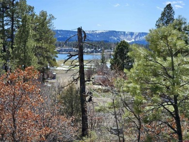 Wendy G Saunders, Keller Williams Realty Southwest Associates on Pagosa Springs Golf Club in Colorado - for sale on GolfHomes.com, golf home, golf lot