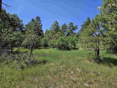 Wendy G Saunders, Keller Williams Realty Southwest Associates on Pagosa Springs Golf Club in Colorado - for sale on GolfHomes.com, golf home, golf lot