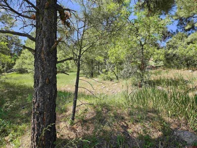 Wendy G Saunders, Keller Williams Realty Southwest Associates on Pagosa Springs Golf Club in Colorado - for sale on GolfHomes.com, golf home, golf lot