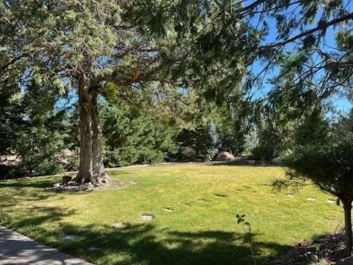 More pictures coming Monday! Nestled in a peaceful neighborhood on Lake Shastina Golf Course in California - for sale on GolfHomes.com, golf home, golf lot