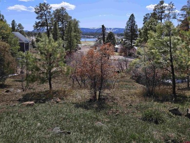 Wendy G Saunders, Keller Williams Realty Southwest Associates on Pagosa Springs Golf Club in Colorado - for sale on GolfHomes.com, golf home, golf lot