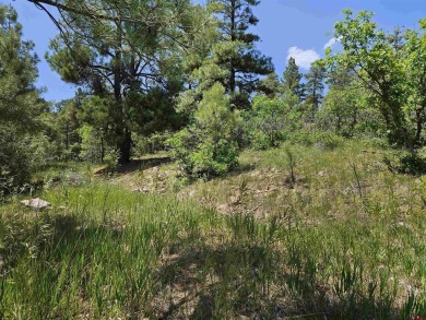 Wendy G Saunders, Keller Williams Realty Southwest Associates on Pagosa Springs Golf Club in Colorado - for sale on GolfHomes.com, golf home, golf lot