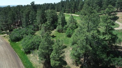 Wendy G Saunders, Keller Williams Realty Southwest Associates on Pagosa Springs Golf Club in Colorado - for sale on GolfHomes.com, golf home, golf lot