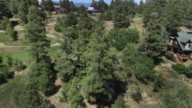 Wendy G Saunders, Keller Williams Realty Southwest Associates on Pagosa Springs Golf Club in Colorado - for sale on GolfHomes.com, golf home, golf lot