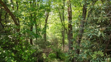Just a few minutes from Main Street Highlands, you'll find this on Highlands Falls Country Club in North Carolina - for sale on GolfHomes.com, golf home, golf lot