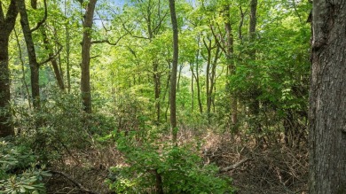 Just a few minutes from Main Street Highlands, you'll find this on Highlands Falls Country Club in North Carolina - for sale on GolfHomes.com, golf home, golf lot