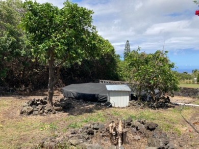 Discovery Harbour - Polynesian Longhouse Lindal Cedar home that on Discovery Harbour Golf Course in Hawaii - for sale on GolfHomes.com, golf home, golf lot