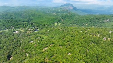 Just a few minutes from Main Street Highlands, you'll find this on Highlands Falls Country Club in North Carolina - for sale on GolfHomes.com, golf home, golf lot