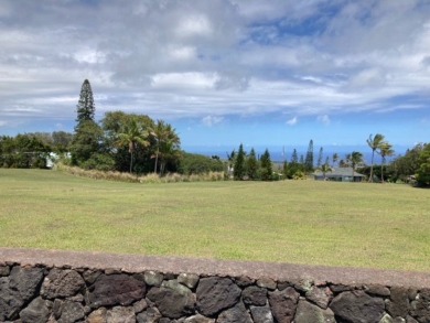 Discovery Harbour - Polynesian Longhouse Lindal Cedar home that on Discovery Harbour Golf Course in Hawaii - for sale on GolfHomes.com, golf home, golf lot