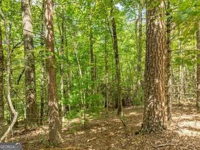 Build Your Dream Home in Buckhorn Estates! This beautiful 0 on White Path Golf Club in Georgia - for sale on GolfHomes.com, golf home, golf lot