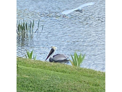 Tucked inside the lush, Bundled-golf community of Spring Run on Spring Run Golf Club in Florida - for sale on GolfHomes.com, golf home, golf lot