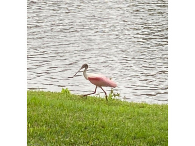 Tucked inside the lush, Bundled-golf community of Spring Run on Spring Run Golf Club in Florida - for sale on GolfHomes.com, golf home, golf lot