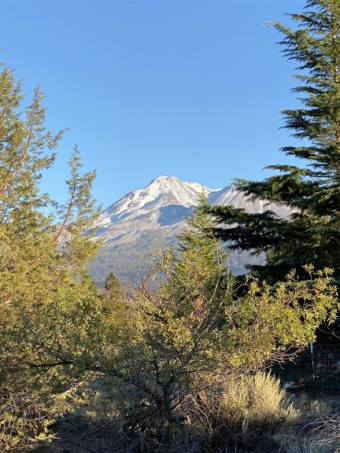 Great level lot with a view of Mt. Shasta that borders the golf on Lake Shastina Golf Course in California - for sale on GolfHomes.com, golf home, golf lot
