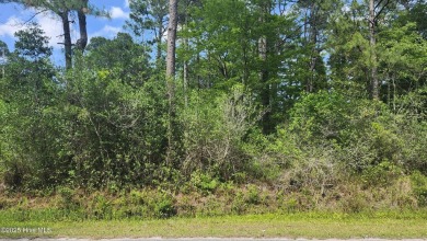 Ready to build your dream home near the coast? Tucked away in on The Lakes Country Club in North Carolina - for sale on GolfHomes.com, golf home, golf lot