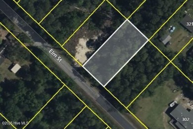 Ready to build your dream home near the coast? Tucked away in on The Lakes Country Club in North Carolina - for sale on GolfHomes.com, golf home, golf lot