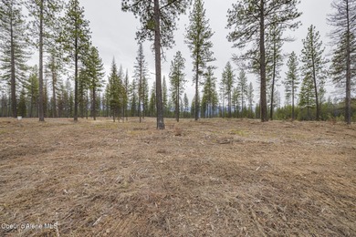 Welcome to Poirier Additions, tucked in the trees in the heart on Stoneridge Golf Club in Idaho - for sale on GolfHomes.com, golf home, golf lot