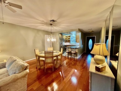 Golf Course Views, Lake Tarpon Strolls, and Minutes to the on Tarpon Woods Golf Club in Florida - for sale on GolfHomes.com, golf home, golf lot