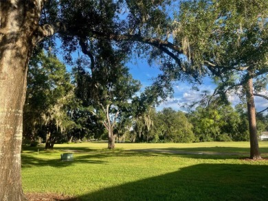 Golf Course Views, Lake Tarpon Strolls, and Minutes to the on Tarpon Woods Golf Club in Florida - for sale on GolfHomes.com, golf home, golf lot