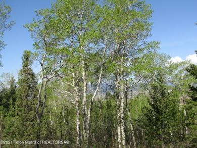 Victor Alpine Setting- this treed site slopes gently, is covered on Headwaters Club At Teton Springs in Idaho - for sale on GolfHomes.com, golf home, golf lot