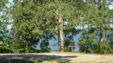 A beautiful water-view home on Toledo Bend Lake.  THIS ONE on Cypress Bend Golf Course in Texas - for sale on GolfHomes.com, golf home, golf lot