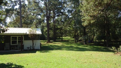 A beautiful water-view home on Toledo Bend Lake.  THIS ONE on Cypress Bend Golf Course in Texas - for sale on GolfHomes.com, golf home, golf lot