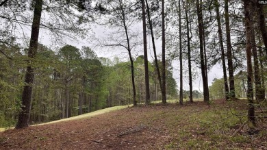 MOUNT VINTAGE GOLF COURSE LOT! 0.74 acre lot located in the on Mount Vintage Plantation and Golf Club  in South Carolina - for sale on GolfHomes.com, golf home, golf lot