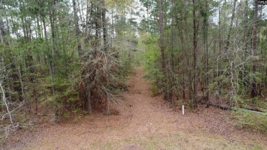 MOUNT VINTAGE LOT!  0.66 acre lot located in the prestigious on Mount Vintage Plantation and Golf Club  in South Carolina - for sale on GolfHomes.com, golf home, golf lot