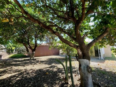 Charming 2-Bed, 2-Bath Brick Ranch style home in 55+ Enchanted on Howling Trails Golf  in Texas - for sale on GolfHomes.com, golf home, golf lot