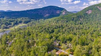 Conveniently located in the Chimney Top neighborhood, Lot 4 on High Hampton Inn and Country Club in North Carolina - for sale on GolfHomes.com, golf home, golf lot
