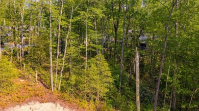 Conveniently located in the Chimney Top neighborhood, Lot 4 on High Hampton Inn and Country Club in North Carolina - for sale on GolfHomes.com, golf home, golf lot