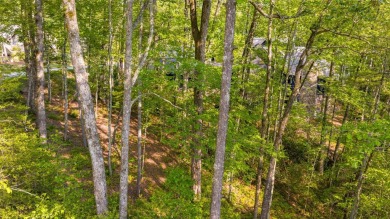 Conveniently located in the Chimney Top neighborhood, Lot 4 on High Hampton Inn and Country Club in North Carolina - for sale on GolfHomes.com, golf home, golf lot