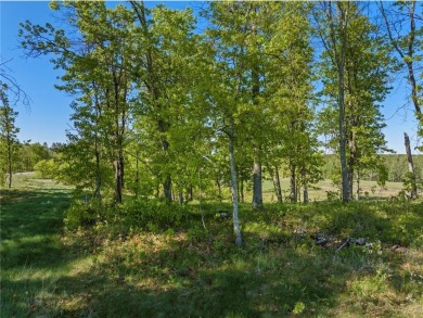 Golf Course Lots For Sale!
 
/// Live Where Others Vacation.///
 on Legacy Courses At Craguns in Minnesota - for sale on GolfHomes.com, golf home, golf lot