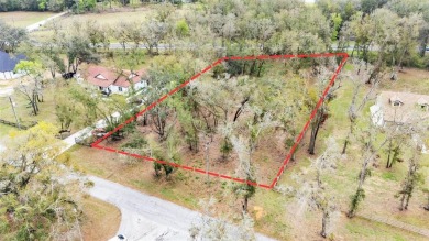 High and Dry, flood zone X!!! Tired of the busy city and hustle on Lake Jovita Golf and Country Club in Florida - for sale on GolfHomes.com, golf home, golf lot