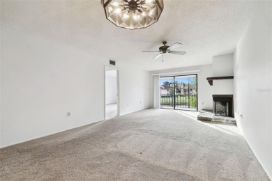 SELLERS WILL PAY THE BUYERS HOA FEE FOR THE FIRST 6 MONTHS on East Lake Woodlands Country Club in Florida - for sale on GolfHomes.com, golf home, golf lot