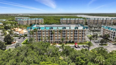 Wake up every day to stunning water views from this beautifully on Harbour Village Golf and Yacht Club in Florida - for sale on GolfHomes.com, golf home, golf lot