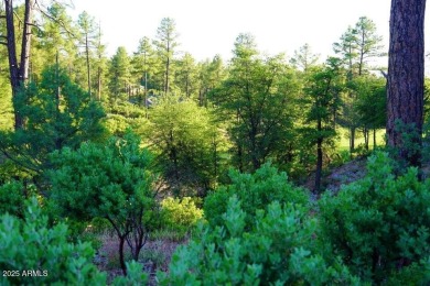 Experience the unparalleled beauty of this custom home site on The Golf Club At Chaparral Pines in Arizona - for sale on GolfHomes.com, golf home, golf lot