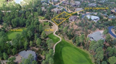 Experience the unparalleled beauty of this custom home site on The Golf Club At Chaparral Pines in Arizona - for sale on GolfHomes.com, golf home, golf lot