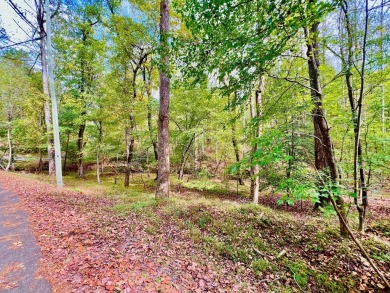 Love the mountains AND Golf?? Looking for that perfect place to on White Path Golf Club in Georgia - for sale on GolfHomes.com, golf home, golf lot