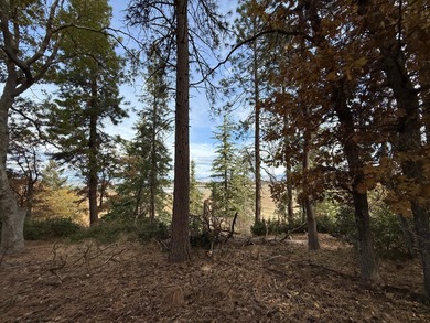 Experience the best of Oregon's high-country living on this on Running Y Ranch Resort in Oregon - for sale on GolfHomes.com, golf home, golf lot