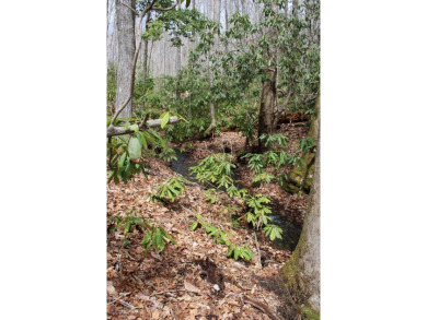 Build Your Dream Mountain Retreat! Located in the on Sapphire National Golf Club in North Carolina - for sale on GolfHomes.com, golf home, golf lot
