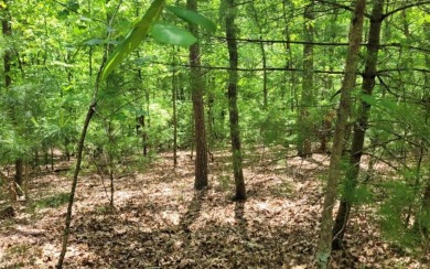 Gorgeous lot ready for your home in Buckhorn! Gentle slopping on White Path Golf Club in Georgia - for sale on GolfHomes.com, golf home, golf lot