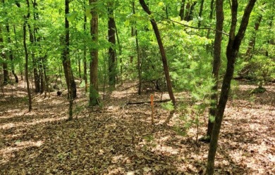 Gorgeous lot ready for your home in Buckhorn! Gentle slopping on White Path Golf Club in Georgia - for sale on GolfHomes.com, golf home, golf lot