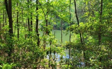Gorgeous lot ready for your home in Buckhorn! Gentle slopping on White Path Golf Club in Georgia - for sale on GolfHomes.com, golf home, golf lot