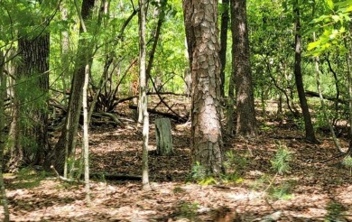 Gorgeous lot ready for your home in Buckhorn! Gentle slopping on White Path Golf Club in Georgia - for sale on GolfHomes.com, golf home, golf lot
