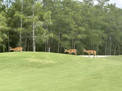 First floor, end unit Abbey (highly coveted!) is light and on Cedar Hammock Golf and Country Club in Florida - for sale on GolfHomes.com, golf home, golf lot