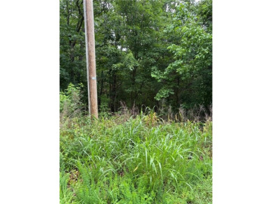 Build-Ready Lot in Quiet East Bella Vista Cul-de-Sac. Located at on Bella Vista - Metfield Golf Complex and Country Club in Arkansas - for sale on GolfHomes.com, golf home, golf lot