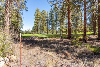 Tee up your next chapter with this charming older home adjacent on Lake Shastina Golf Course in California - for sale on GolfHomes.com, golf home, golf lot