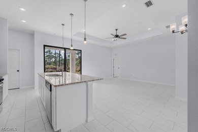 New Construction home in SW Florida! This brand-new 3 bedroom, 2 on Mirror Lakes Golf Club in Florida - for sale on GolfHomes.com, golf home, golf lot